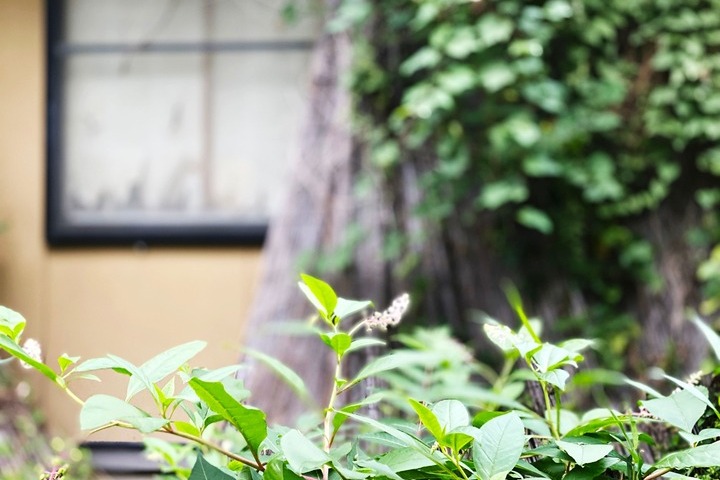 3. 遠方にお住まいのM様が、「相続した船橋市の実家を、補助金を利用して解体し売却した事例」